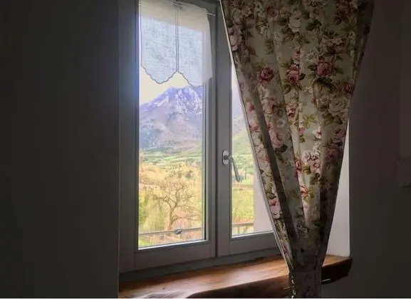 Panoramic Tek Büyük Yataklı Oda, 1 Büyük (Queen) Boy Yatak, Üzüm Asması Manzaralı