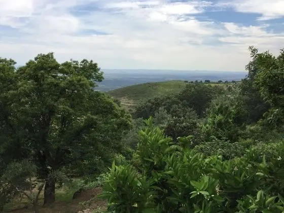 Kır Evi (Las Abejas)