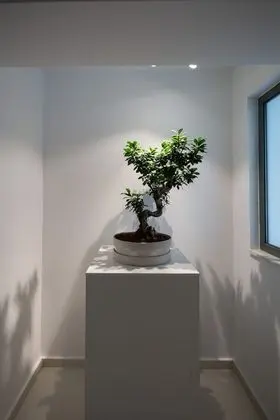 Daphne - Elaia Luxury 2nd Floor City Center Condo