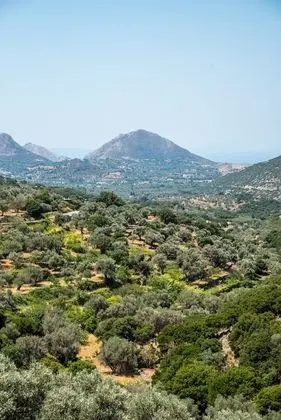 Luxury Süit (Helen of Troy)