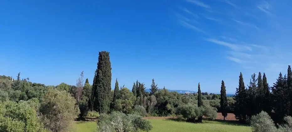 Family Villa