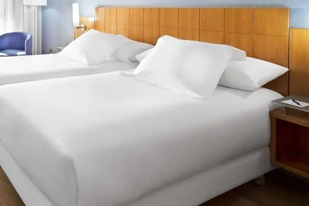 Executive Tek Büyük Yataklı Oda (1 Adult)