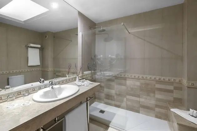 Executive Tek Büyük Yataklı Oda (1 Adult)