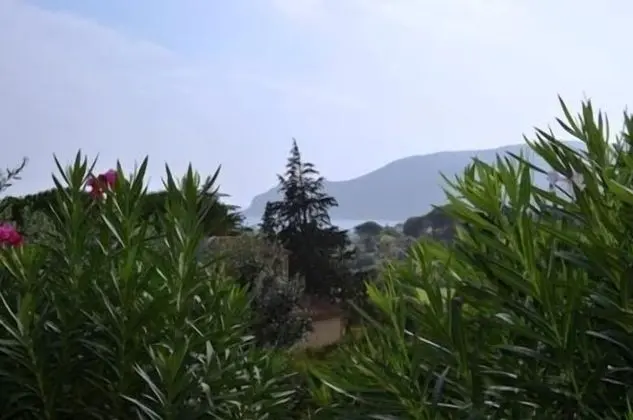 Standard Apart Daire, 2 Yatak Odası