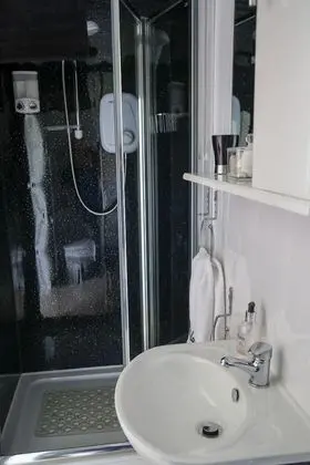 Traditional Tek Büyük Yataklı Oda, Bahçe Manzaralı (3)