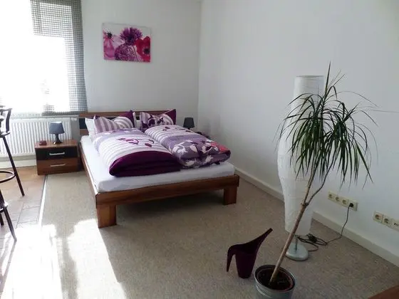 Apart Daire, Engellilere Uygun, Şehir Manzaralı (Ferienwohnung 1)