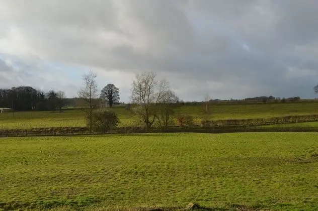 Luxury Süit, Birden Çok Yatak, Bahçe Manzaralı