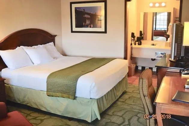 Süit (1 King Bed with Refrigerator)