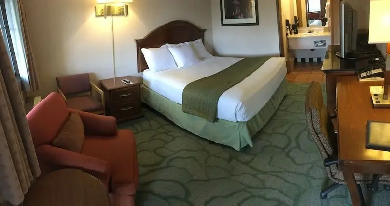 Süit (1 King Bed with Refrigerator)