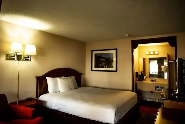 Süit (1 King Bed with Refrigerator)