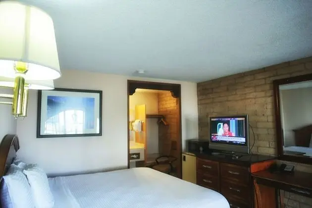 Süit (1 King Bed with Refrigerator)