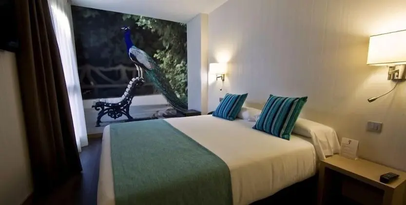 Standard Tek Büyük Yataklı Oda, 1 Çift Kişilik veya 2 Tek Kişilik Yatak