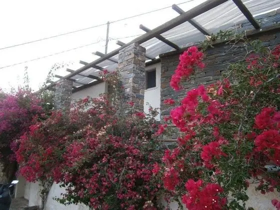 Stüdyo, 1 Çift Kişilik Yatak