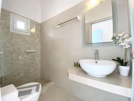 Basic Tek Büyük veya İki Ayrı Yataklı Oda, Bahçe Manzaralı