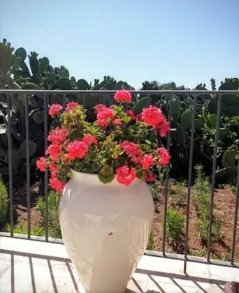 Oda, 1 Yatak Odası, Şömine