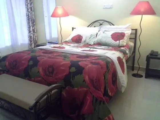 Premier Apart Daire, 1 Çift Kişilik Yatak, Sigara İçilebilir, Bahçe Manzaralı