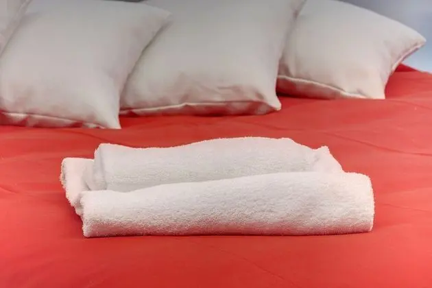 Apart Daire, 1 Yatak Odası, Mikrodalga