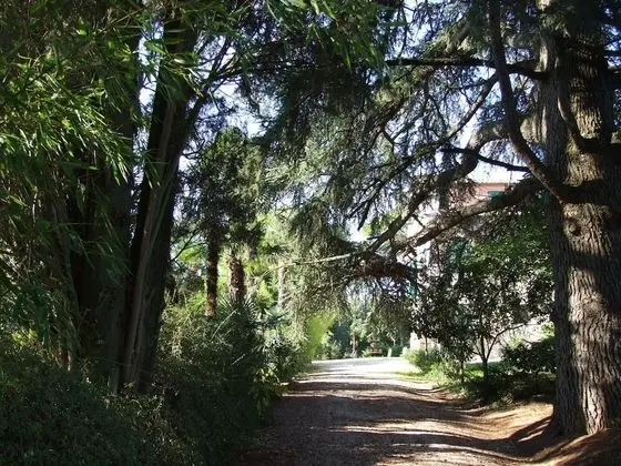 Villa, 2 Yatak Odası, Şömine