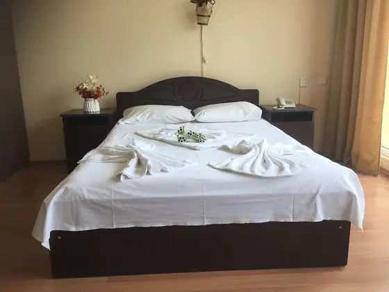 Basic Tek Büyük veya İki Ayrı Yataklı Oda, Şehir Manzaralı