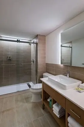 Süit, 1 Yatak Odası, Sigara İçilmez