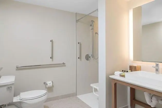 Executive Süit, 1 En Büyük (King) Boy Yatak ve Çekyat, Sigara İçilmez, Balkon