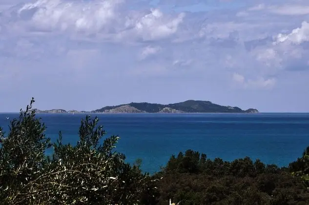 Stüdyo