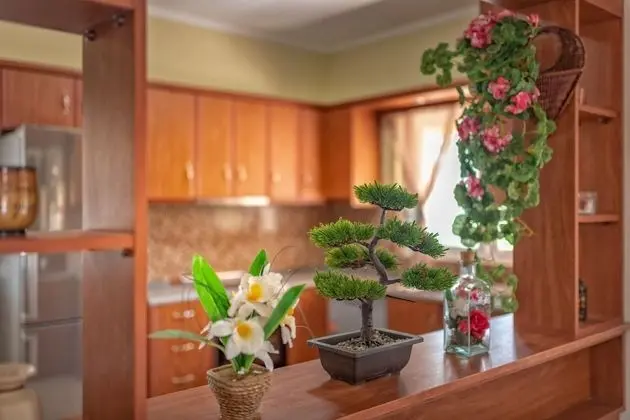 Family Villa, Havuz Manzaralı