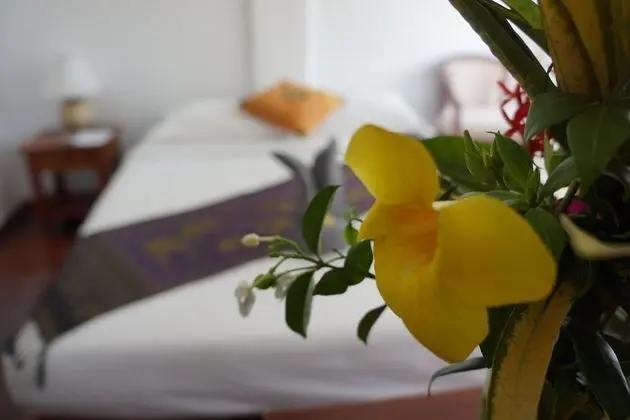 Standard Tek Büyük Yataklı Oda, Balkon, Nehir Manzaralı