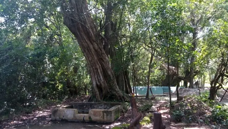 Standard Dağ Evi, 1 Yatak Odası, Resort Manzaralı