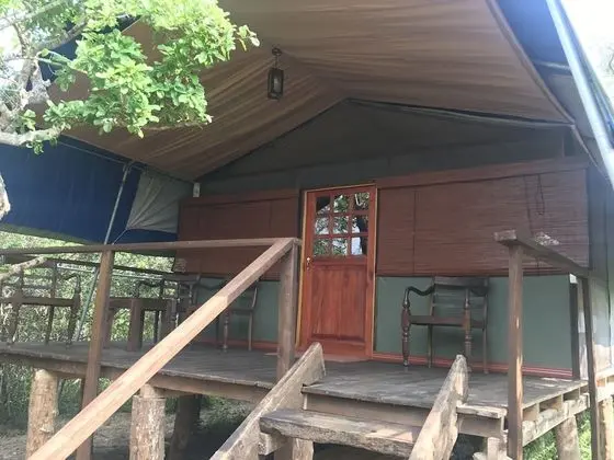 Family Çadır