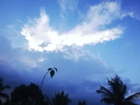 Basic Tek Büyük veya İki Ayrı Yataklı Oda, 1 Yatak Odası, Şehir Manzaralı