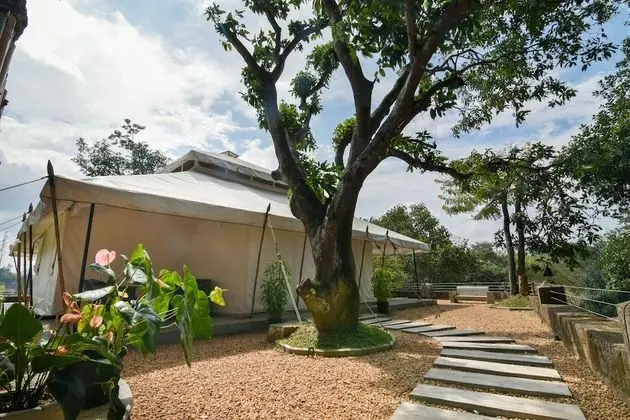 Royal Süit (Luxury Tented)
