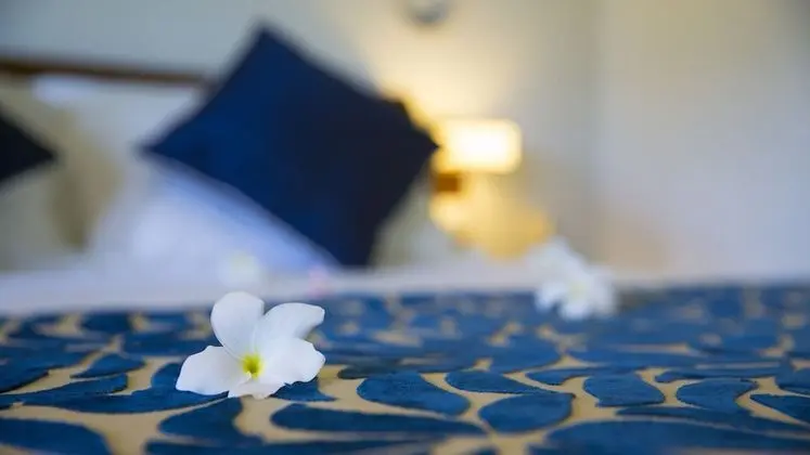 Deluxe Tek Büyük Yataklı Oda, Birden Çok Yatak, Bahçeli