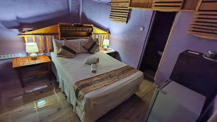 Superior Tek Büyük Yataklı Oda, 1 Çift Kişilik Yatak, Bahçe Manzaralı