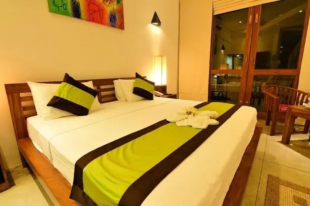 Deluxe Oda, 1 Çift Kişilik Yatak, Park Manzaralı