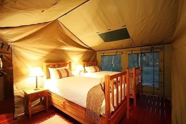 Çadır (Forest Tent)