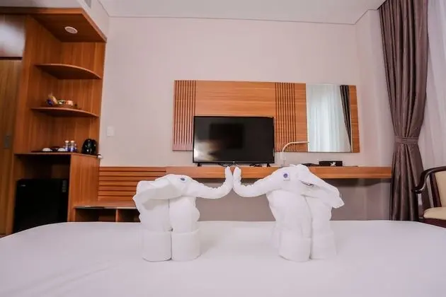 Deluxe Tek Büyük Yataklı Oda