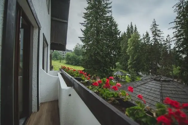 Superior Tek Büyük Yataklı Oda, Balkon