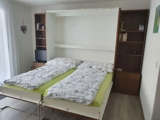 Stüdyo, 1 Yatak Odası, Veranda
