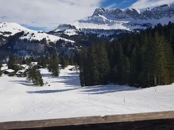 Apart Daire, 1 Yatak Odası, Veranda