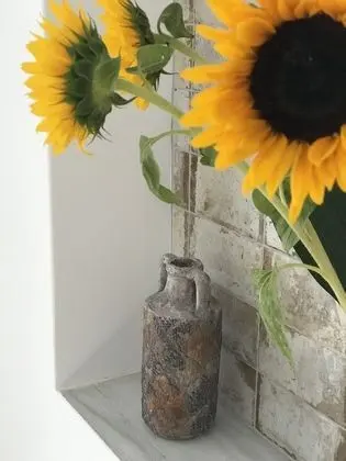 Apart Daire, 2 Yatak Odası, Teras