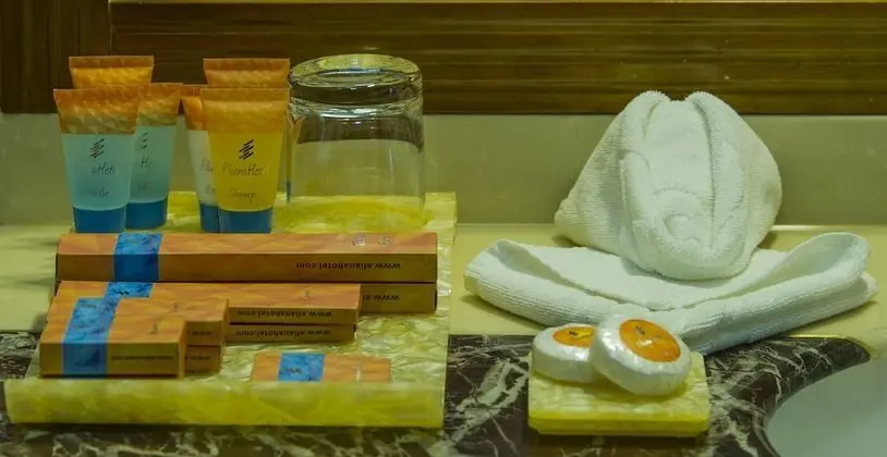 Deluxe İki Ayrı Yataklı Oda