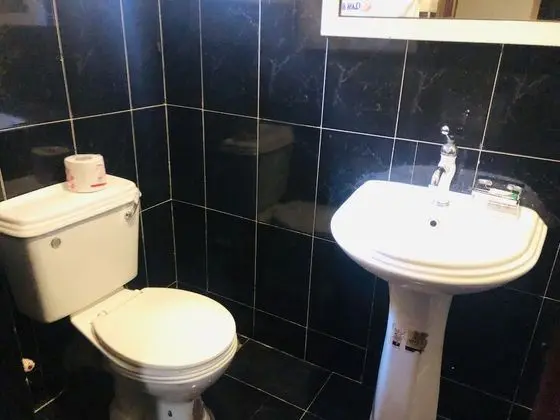 Süit