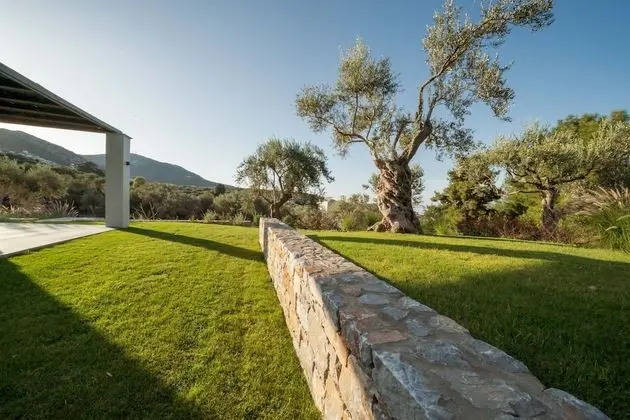 Basic Villa (One)