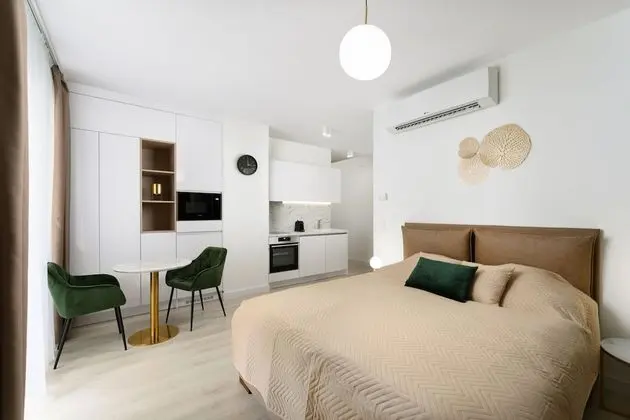 Deluxe Stüdyo, 1 Büyük (Queen) Boy Yatak