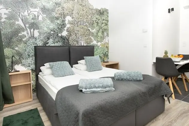 Deluxe Stüdyo, 1 Büyük (Queen) Boy Yatak