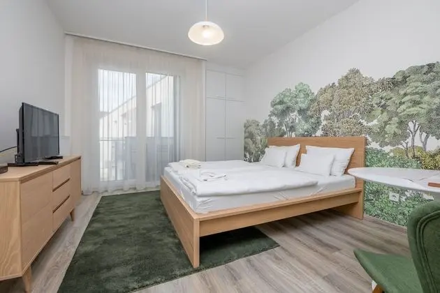 Deluxe Stüdyo, 1 Büyük (Queen) Boy Yatak