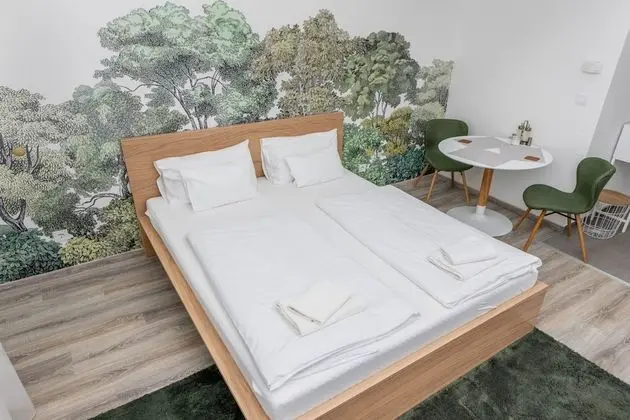 Deluxe Stüdyo, 1 Büyük (Queen) Boy Yatak