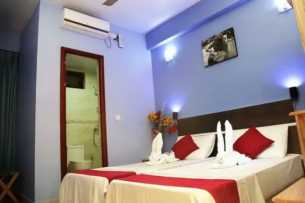 Superior İki Ayrı Yataklı Oda, Balkon