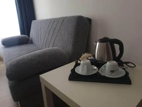 Superior Tek Büyük Yataklı Oda, 1 Büyük (Queen) Boy Yatak, Banyolu/Duşlu